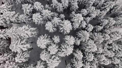 Chamrousse - Winter Landscape 10 - 4K - Color Graded Stockbeeldmateriaal 240242698