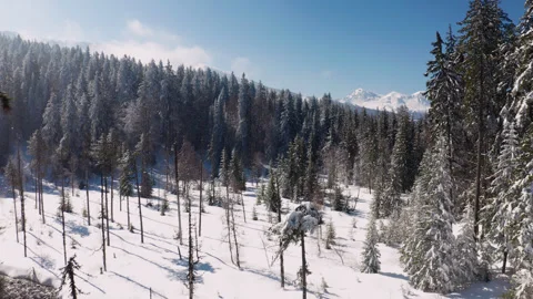 Chamrousse - Winter Landscape 11 - 4K - Color Graded Stockbeeldmateriaal 240245036