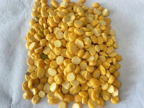 Chana dal one 写真素材