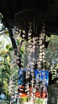 Chandelier from shells Stock Photos