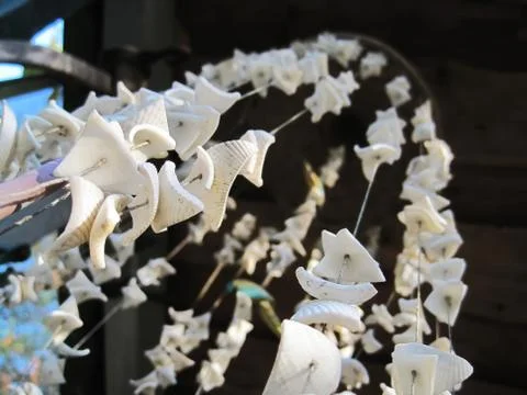 Chandelier from shells Foto stock