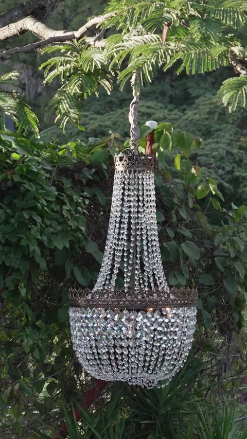 Chandeliers hanging from a tree decorating the wedding reception on the outdoor Stock Footage 344985910