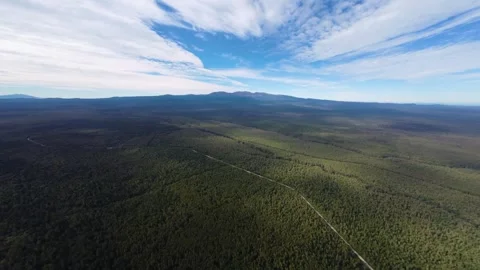 Changbai Mountain in summer, flat green forest Stock Footage 313939833