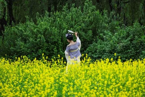 Changchun, China: Rapeseed Flowers in Full Bloom at Changchun Park Stock-Fotos