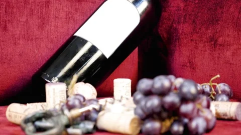 Change Depth Of Focus Bottle Of Wine With Blank Label Stock Footage 169166290