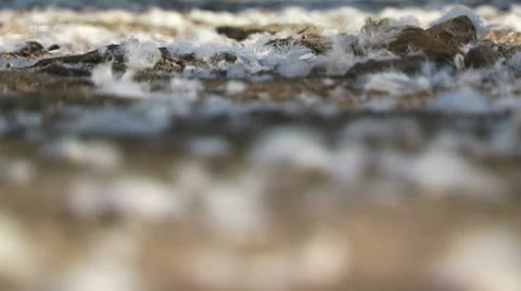 Change of focus from background to the front Video stock 52703204