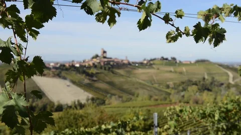 Change of focus on Castle's view through the vineyards Stock Footage 80995980