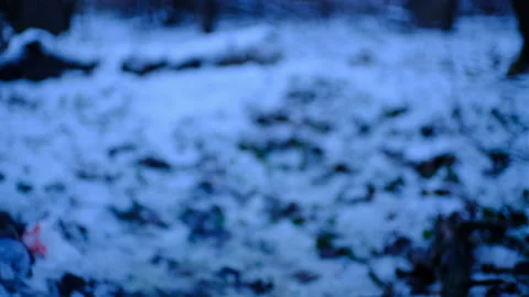Change of perspective from campfire and meet to dark snowy forest Stock Footage 167838538
