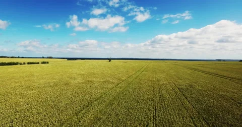 Change: Wind showing it´s power Stock Footage 65126615