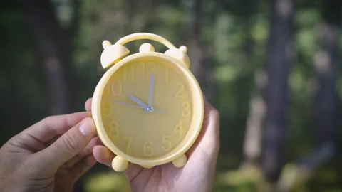 Change your clock fall back Stock Footage 162028453