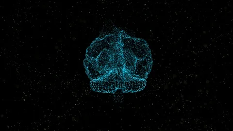 Colors Of Brain Stock Footage ~ Royalty Free Stock Videos | Pond5