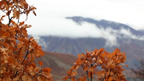 Changing Autumn Landscape Under Dramatic Moving Clouds 库存影片 344072357