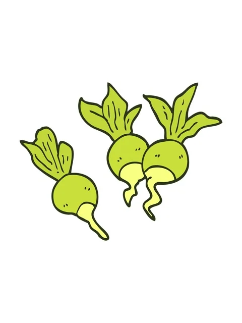 Changing color animation of cartoon doodle beetroot plants Stock Footage 324053380