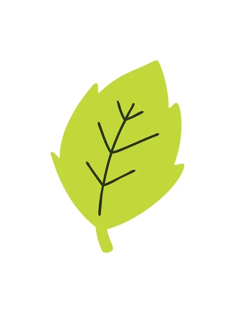 Changing color animation of simple cartoon leaf Video stock 324422268