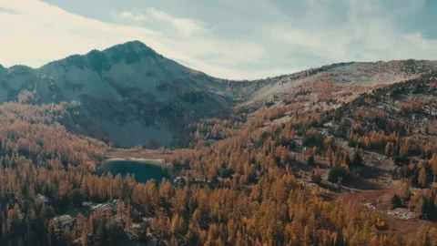 Changing colors in the mountains of Washington State Aerial Shot - Larch Trees Stock Footage 219363258