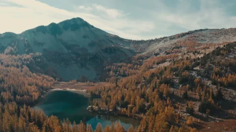 Changing colors in the mountains of Washington State Aerial Shot - Larch Trees Stock Footage 219363420