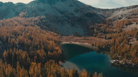 Changing colors in the mountains of Washington State Aerial Shot - Larch Trees Stock Footage 219363732