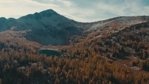 Changing colors in the mountains of Washington State Aerial Shot - Larch Trees Stock Footage 219364019