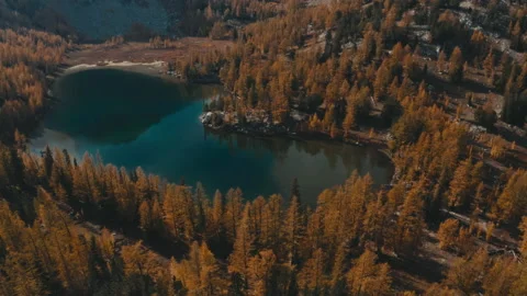 Changing colors in the mountains of Washington State Aerial Shot - Larch Trees Stock Footage 219364249