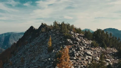 Changing colors in the mountains of Washington State Aerial Shot - Larch Trees Stock Footage 219364949