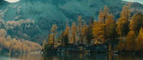 Changing colors in the mountains of Washington State Aerial Shot - Larch Trees Stock Footage 219373640