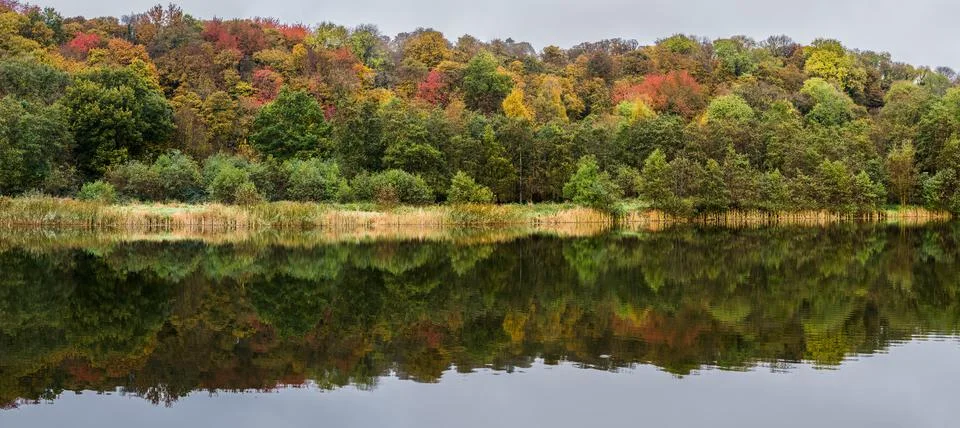 Changing colours Stock Photos