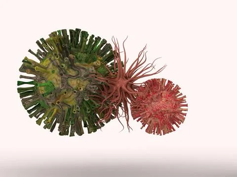 Changing corona virus Stock Illustration