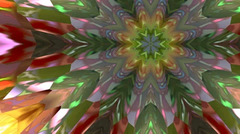 Changing flower Stock Footage 24976266