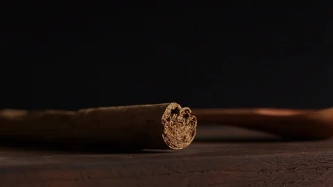 Changing Focus on Cinnamon Stock Footage 86134477