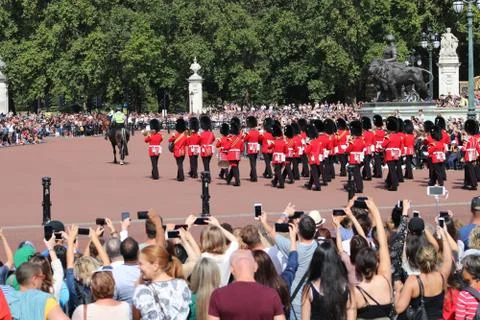 Changing Of The Guard - Buckingham Palace Stock Photos