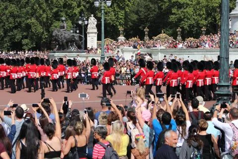 Changing Of The Guard - Buckingham Palace Stock Photos