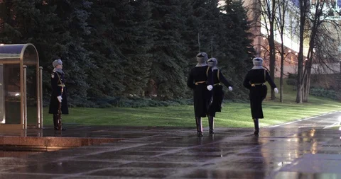 Changing the guard of honor 스톡 동영상 119628217