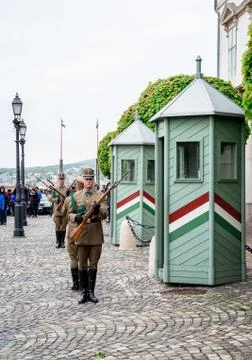 Changing of the guards in the buda castle Stock Photos