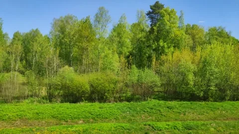 Changing landscape outside. Bright spring forest and blue sky. Russia travel Stock Footage 315369607