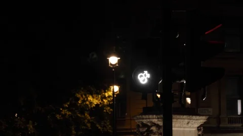 Changing pedestrian traffic light at night Stock Footage 116301612