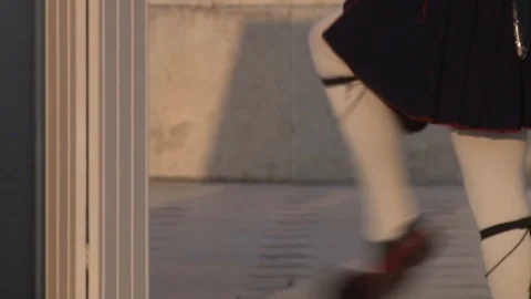 Changing Position Presidential Guard Stock Footage 87659442