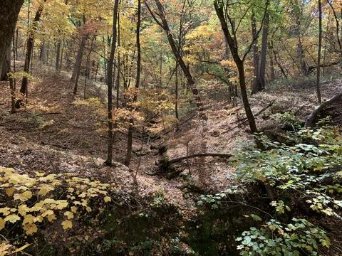 Changing of the seasons at the Devil's Ice Box Stock Photos