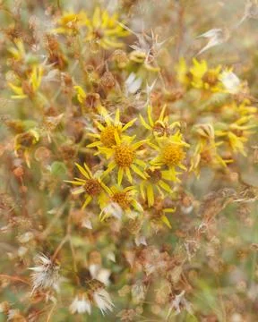 Changing seasons Stock Photos