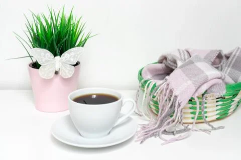 Changing seasons from winter to spring - green plant with white decorative bu Stock Photos