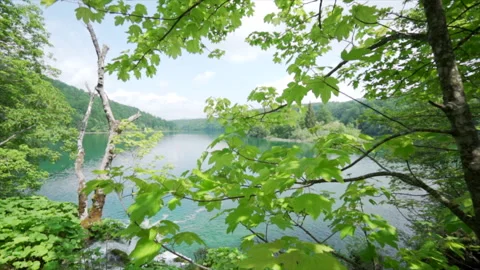 Changing sunlight over emerald Plitvice lake Stock Footage 319765510