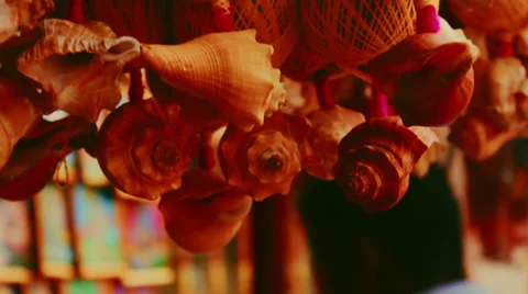 Chank hanging  in a shop Stock Footage 54631405