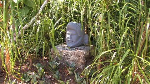 Chankanaab Head Video stock 94360346