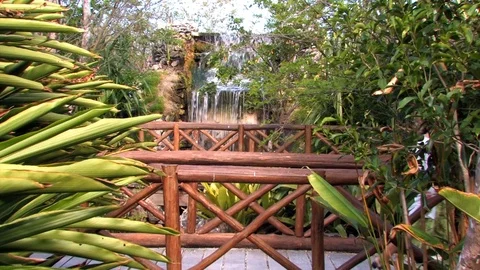 Chankanaab waterfall 1 Stock Footage 94136502