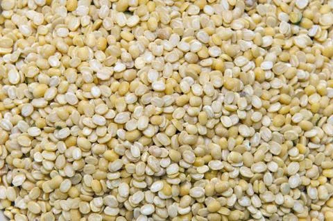 Channa Dal Stock Photos