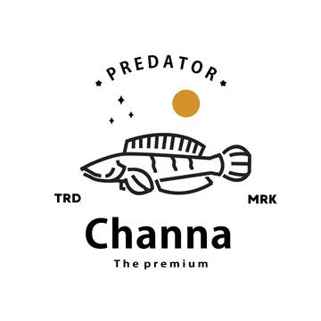 Channa logo vector outline monoline art icon Illustrazione stock