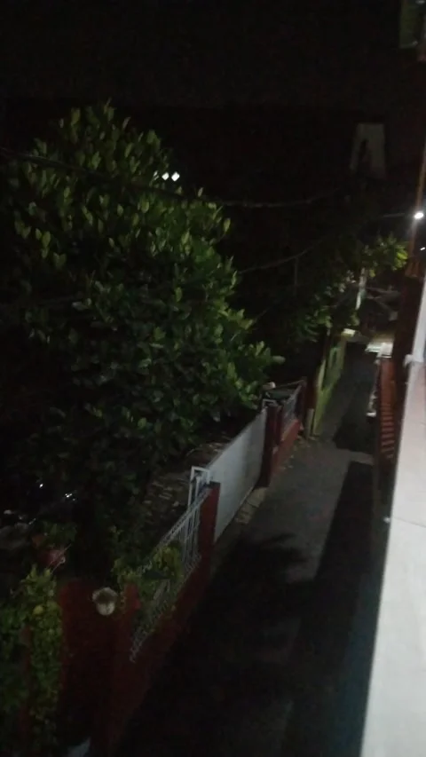 Channa snake head Stock Footage 218008412