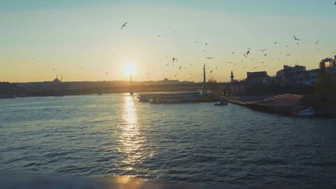 The Channel Of The Bosphorus. Sunset. Seagulls fly. The ripples of the water Vídeos de archivo 118584654