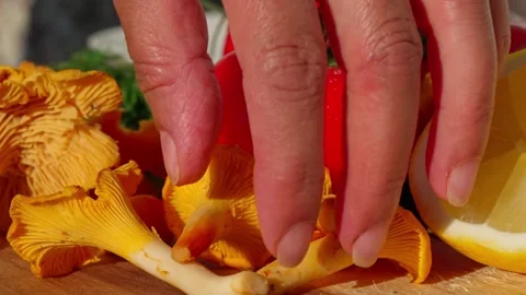 Chanterelle Stock Footage 318226922