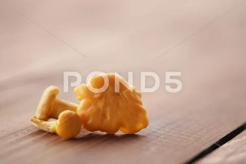 Chanterelle mushrooms on wood table Stock Photos