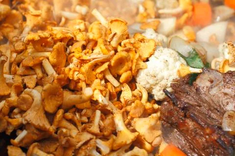 Chanterelle Stock Photos